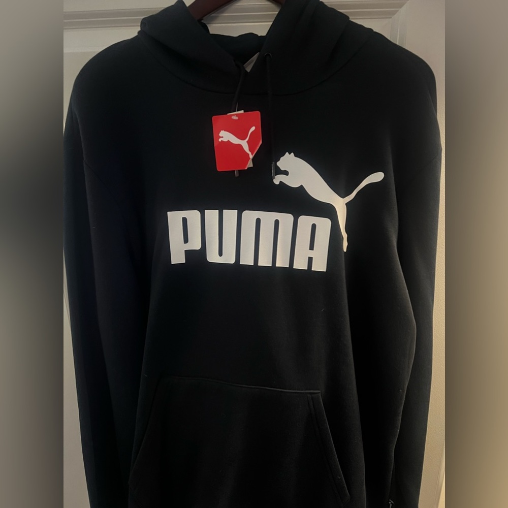 Puma Essentials Big Logo Men's Hoodie and Puma Essentials Logo Men's Jogger